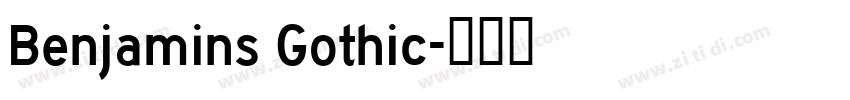 Benjamins Gothic字体转换